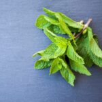 how to manage and prevent bad breath: causes and solutions