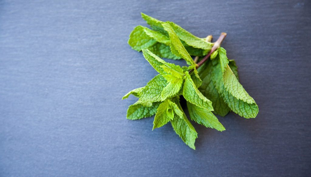 how to manage and prevent bad breath: causes and solutions